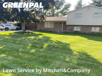 Grass Cut nearby Shelby Township, MI, 