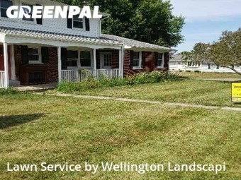 Lawn Cut nearby Erie, PA, 