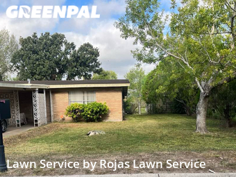 Lawn Cut nearby San Juan, TX, 