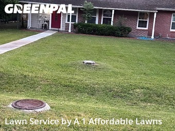 Grass Cutin League City,77573,Lawn Cutting by A 1 Affordable Lawns, work completed in Feb , 2026