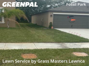 Lawn Mowing nearby St. Petersburg, FL, 