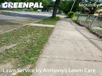 Yard Cutting nearby Minneapolis, MN, 