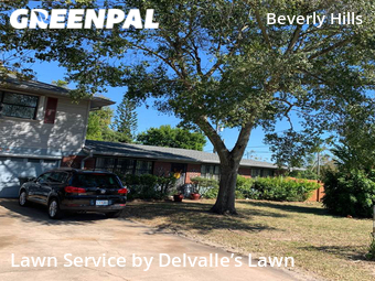 Lawn Cut nearby Daytona Beach, FL, 