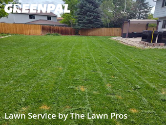 Lawn Cut nearby Thornton, CO, 