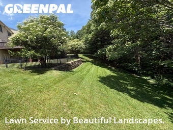 Lawn Mow nearby Roanoke, VA, 