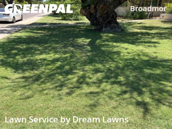 Weed Trimming in Tempe, 85282, Backyard Mowing by Dream Lawns, work completed in Oct , 2025
