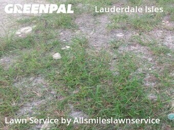 Lawn Cut nearby Fort Lauderdale, FL, 
