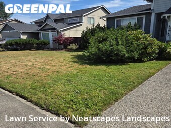 Lawn Mow nearby Spanaway, WA, 