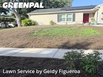 Lawn Cutin Palm Harbor,34684,Grass Cut by Geidy Figueroa, work completed in Jun , 2026