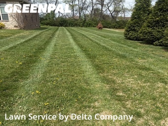 Grass Cut nearby Bowling Green, KY, 