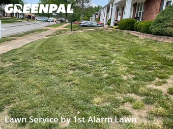 Lawn Service nearby St. Louis, MO, 