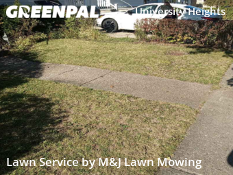 Grass Cut nearby Buffalo, NY, 