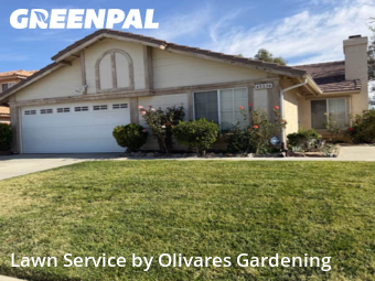 Lawn Maintenancein Lancaster,93535,Lawn Service by Olivares Gardening , work completed in Dec , 2025