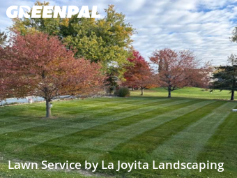 Lawn Maintenance nearby Mokena, IL, 