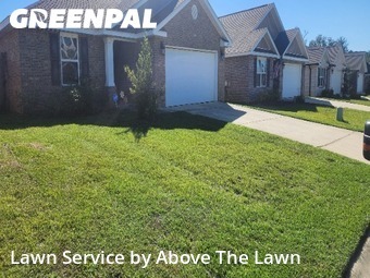 Yard Management in Bellview, 32526, Lawn Mowing by Above The Lawn, work completed in Nov , 2025