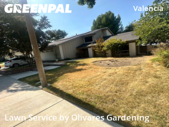 Work completed by grass-care-professionals-in-Santa Clarita-CA