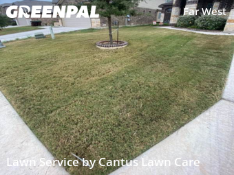 Lawn Cut nearby San Antonio, TX, 