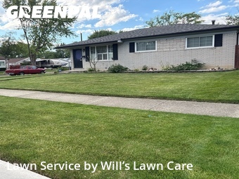 Grass Cut nearby St. Clair Shores, MI, 