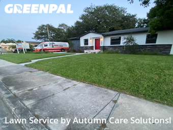 Lawn Care Service nearby Tampa, FL, 