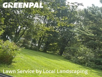 Turf Services in Delaware, 43015, Lawn Services by Local Landscaping, work completed in Nov , 2025