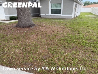 Lawn Cut nearby Kissimmee, FL, 