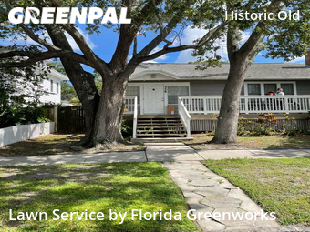 Lawn Cut nearby St. Petersburg, FL, 