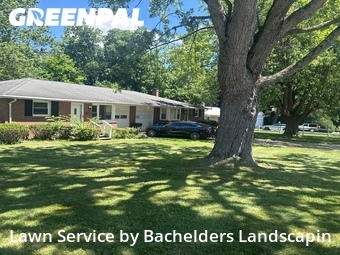 Grass Cut nearby Mansfield, OH, 