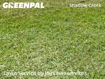 Lawn Maintenance nearby Pearland, TX, 