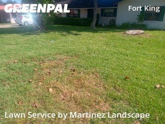 Yard Cutting in Ocala, 34471, Lawn Mowing by Martinez Landscape, work completed in Oct , 2025