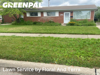Yard Mowing nearby Roseville, MI, 
