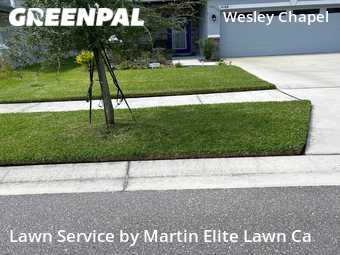 Grass Cut nearby Wesley Chapel, FL, 