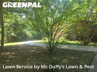 Lawn Mowing Service nearby Newport, TN, 