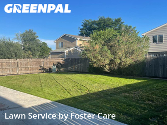 Yard Cutting nearby Thornton, CO, 