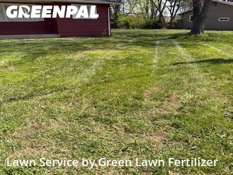 Yard Cutting nearby Springfield, MO, 