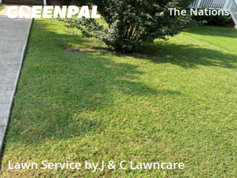 Grass Cutting nearby Nashville, TN, 