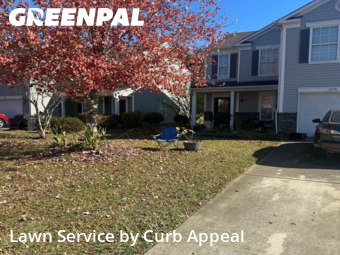 Yard Care in Concord, 28025, Weed Trimming by Curb Appeal, work completed in Nov , 2025