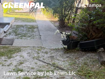 Lawn Cutting nearby Tampa, FL, 