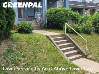 Lawn mowed in Pittsburgh, 15202