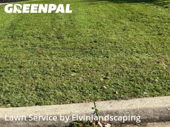Turf Services in Owings Mills, 21117, Lawn Care by Elvinlandscaping, work completed in Nov , 2025