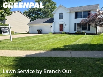 Lawn Mow nearby Lancaster, NY, 