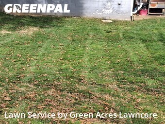 Lawn Mow nearby Kingsport, TN, 
