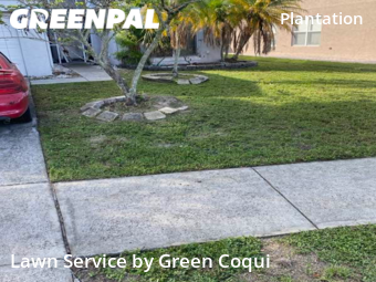 Yard Cutting nearby Tampa, FL, 