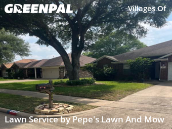 Lawn Cutin Rosenberg,77471,Yard Cutting by Pepe's Lawn And Mow, work completed in Dec , 2025