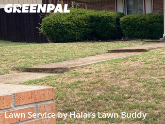 Lawn Cutting nearby De Soto, TX, 