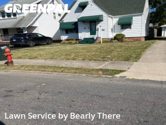 Yard Cutting nearby Garfield Heights, OH, 