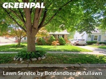 Grass Cut nearby Wayne, MI, 