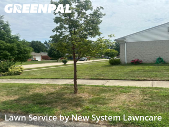 Grass Cut nearby Livonia, MI, 