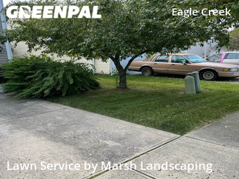 Lawn Mow nearby Indianapolis, IN, 