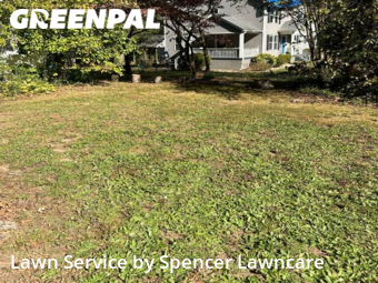 Lawn Mowing nearby Greenville, SC, 