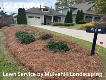 Weed Trimming in Vestavia Hills, 35216, Yard Upkeep by Mulvehill Landscaping, work completed in Nov , 2025